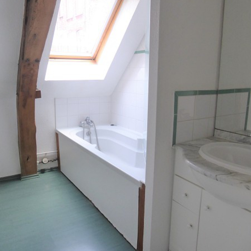 Location Appartement Lille 48m² 7