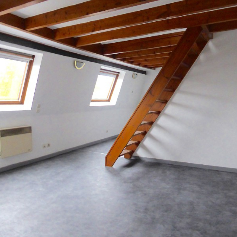 Location Appartement Lille 35m² 1