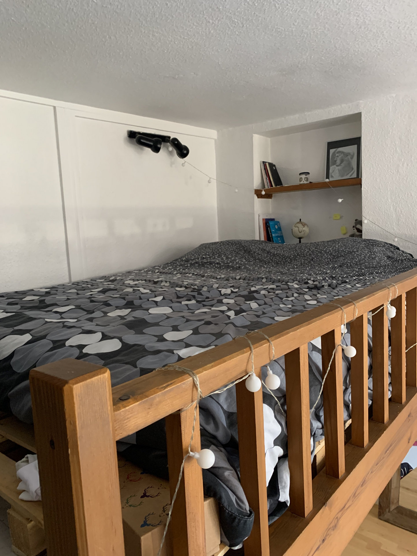 Location Appartement Lille 25m² 3