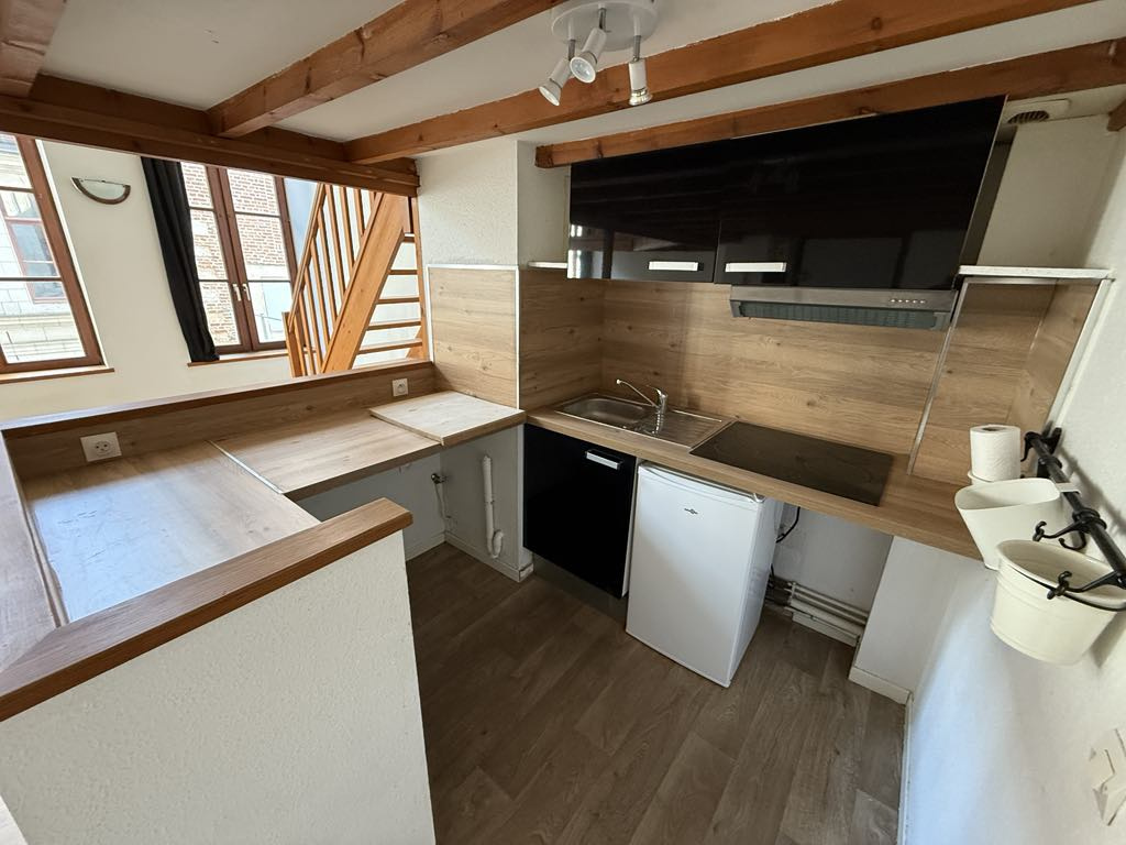 Location Appartement Lille 47m² 4