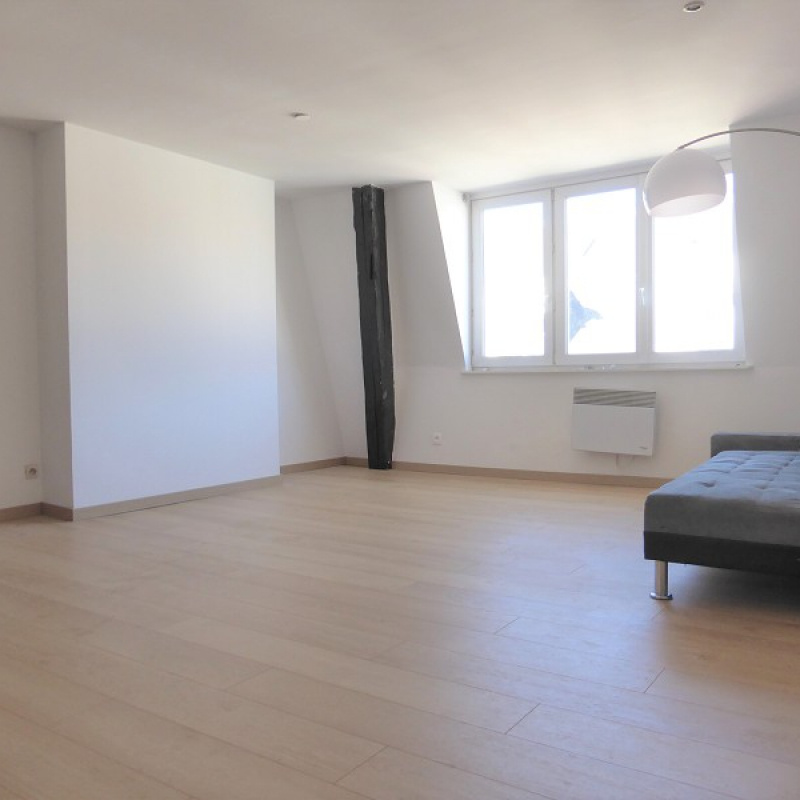 Location Appartement Lille 47m² 1