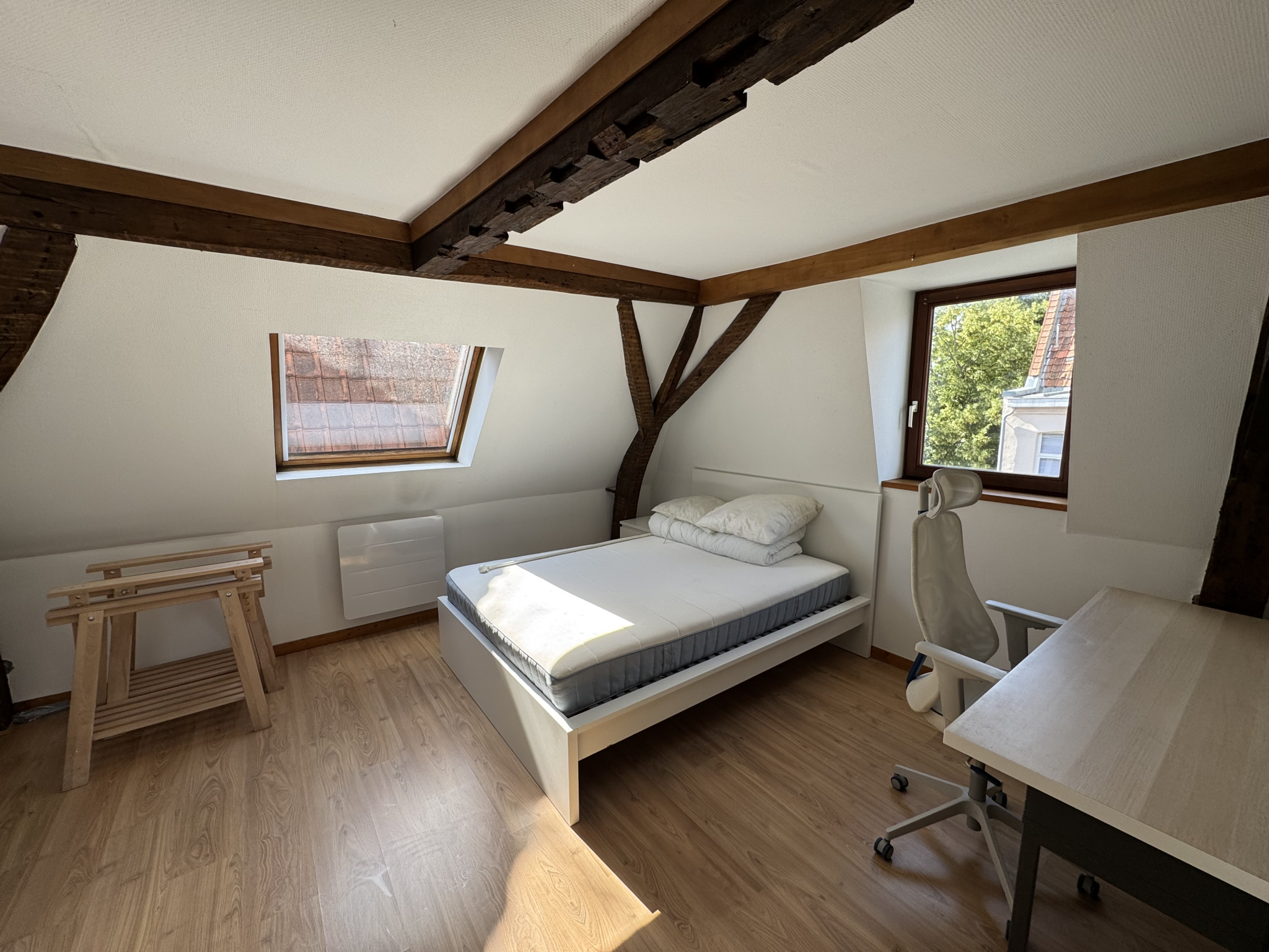Location Appartement Lille 59m² 5